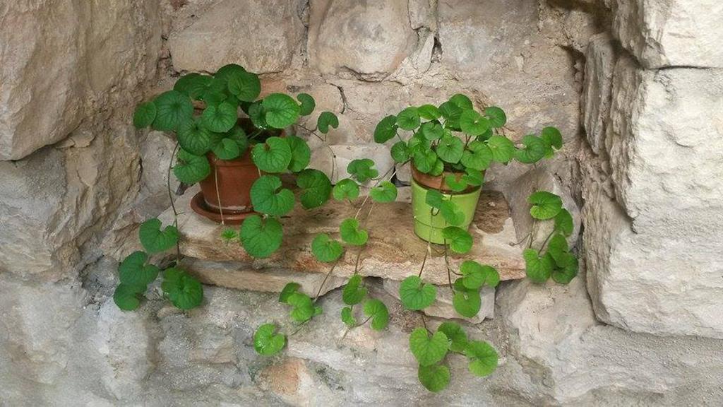 Dobra Apartments Trogir Luaran gambar